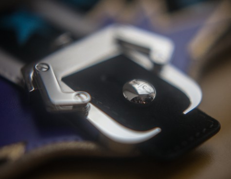 Paola Cademartori (by BeeFree)